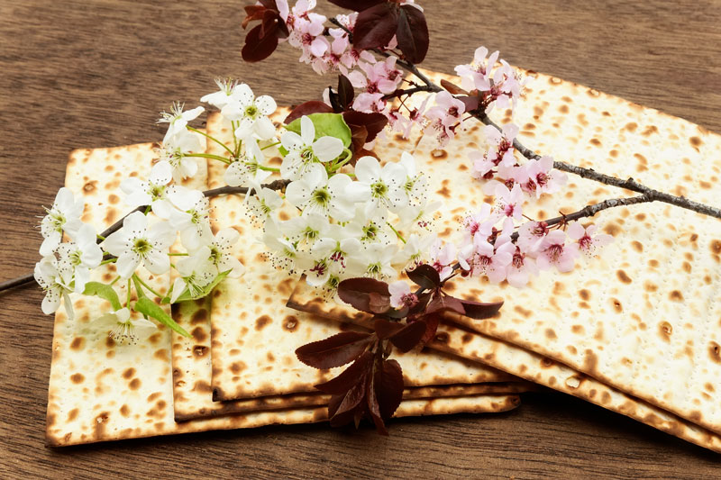 קייטנות פסח | תשפ"ד